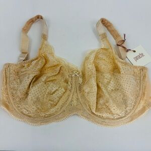Panache Clara Full Cup Underwire Bra Champagne Beige Lace 7255 Size 34J NWT